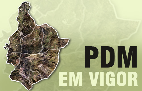 PDM-VIGOR