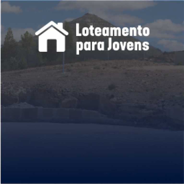 Decorre até 30 de janeiro procedimento para atribuição de lotes para jovens