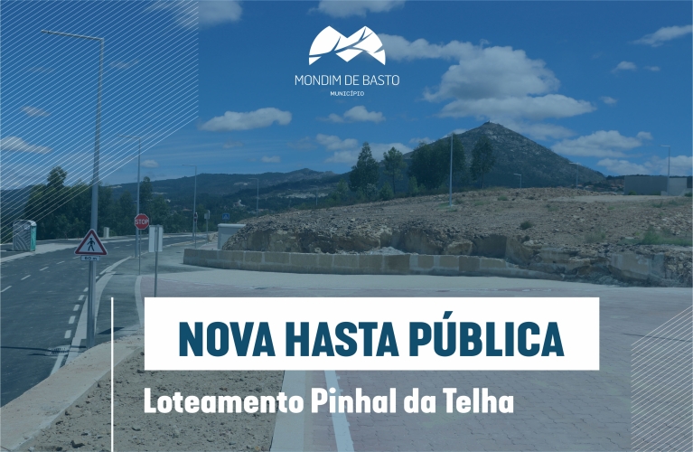 Nova Hasta Pública para venda de 9 lotes no Pinhal da Telha