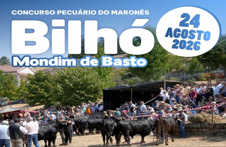 Freguesia do Bilhó e Associação de Criadores do Maronês organizam o maior concurso da raça maronesa da região