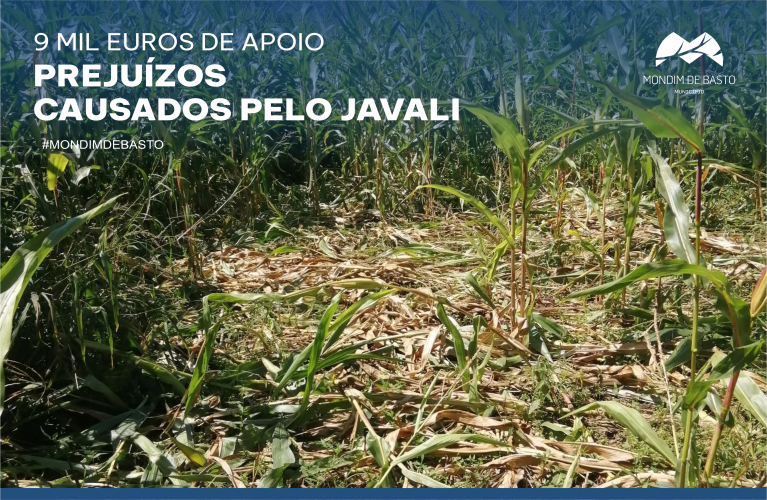 Município de Mondim de Basto apoia agricultores afetados pelos prejuízos causados pelo javali
