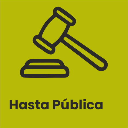 Hasta Pública
