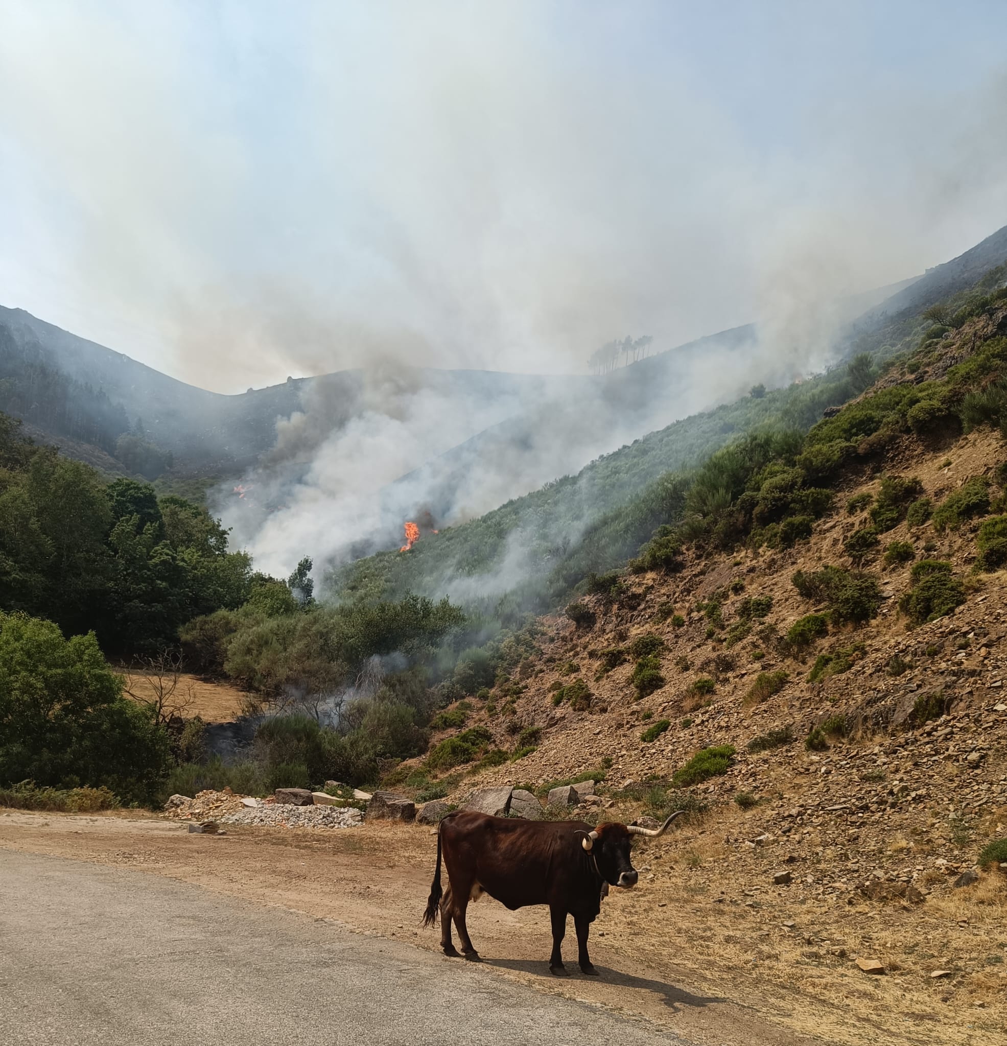 Município disponibiliza ajuda para avaliar os prejuízos causados pelos incêndios