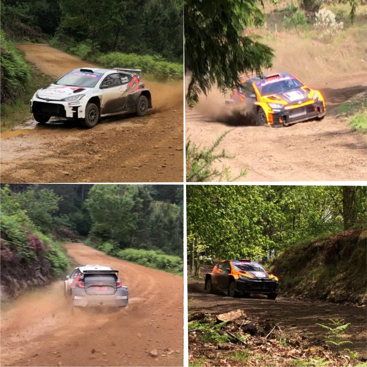 Treinos Rally de Portugal
