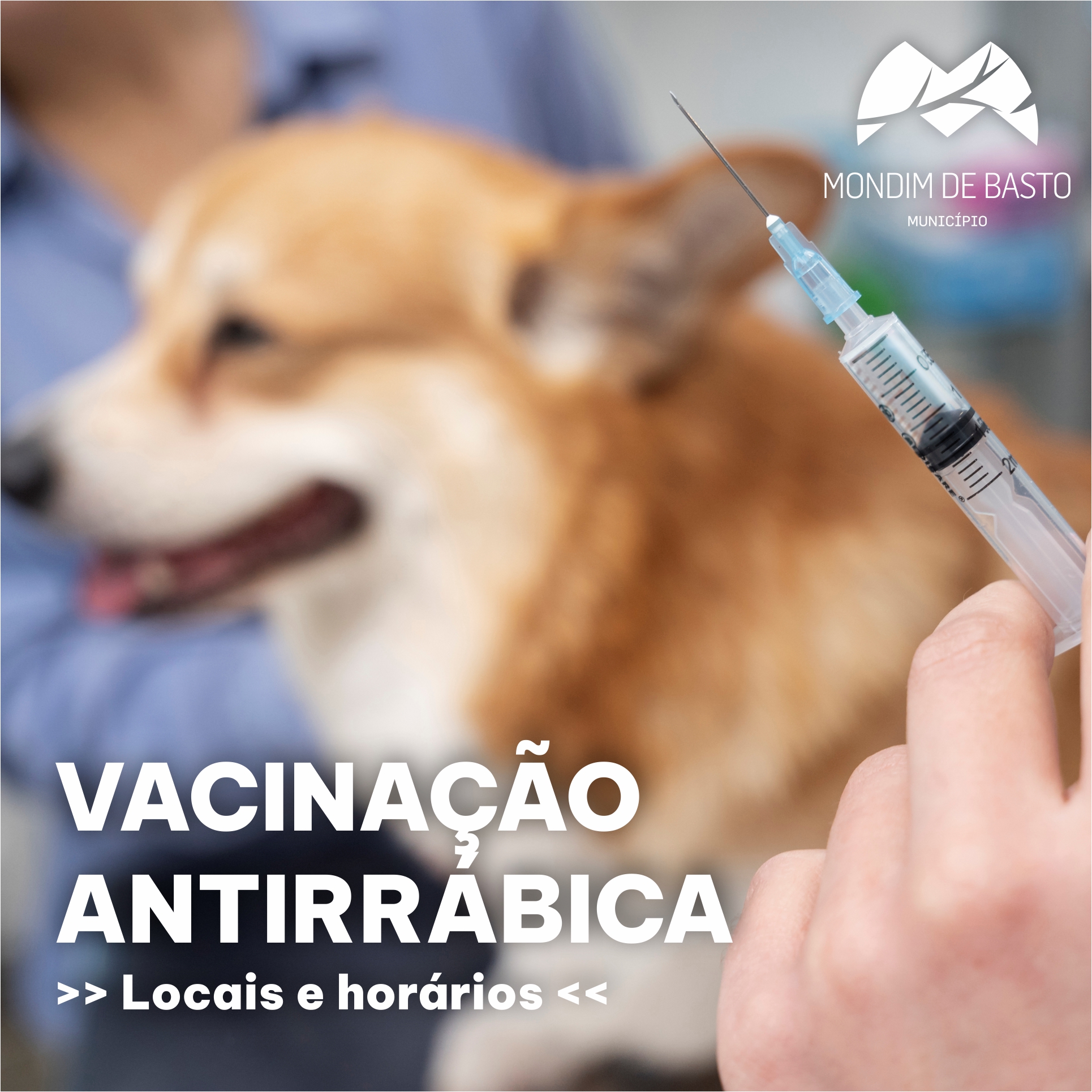 Campanha de Vacinação Antirrábica