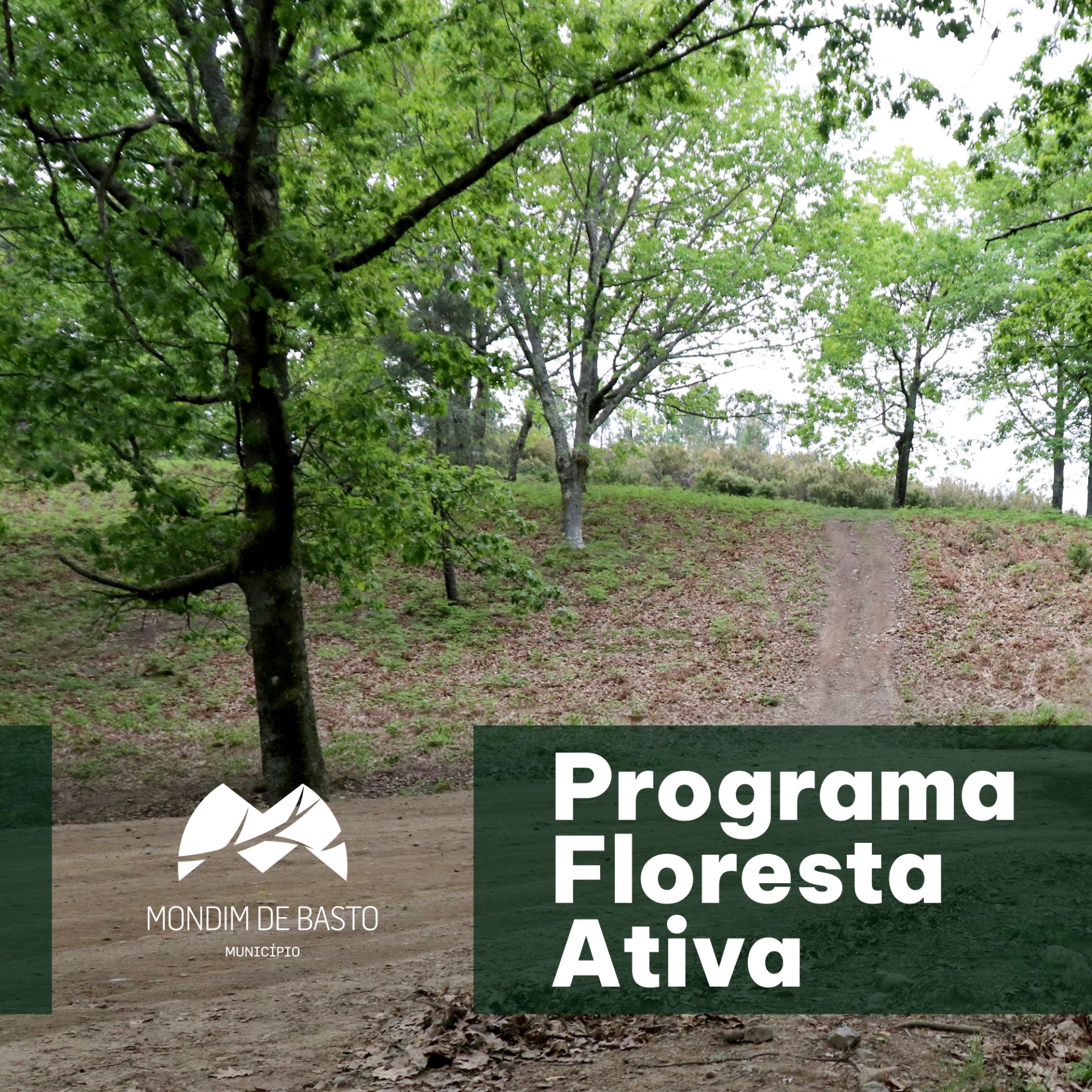 Candidaturas Programa Floresta Ativa