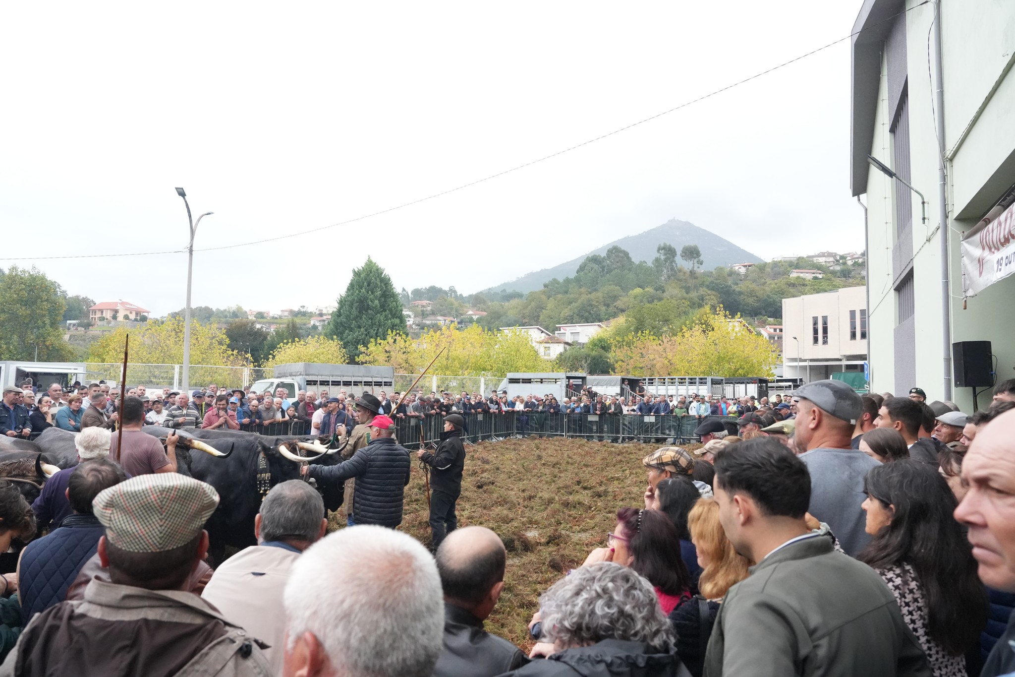 Feira de Ano 2025
