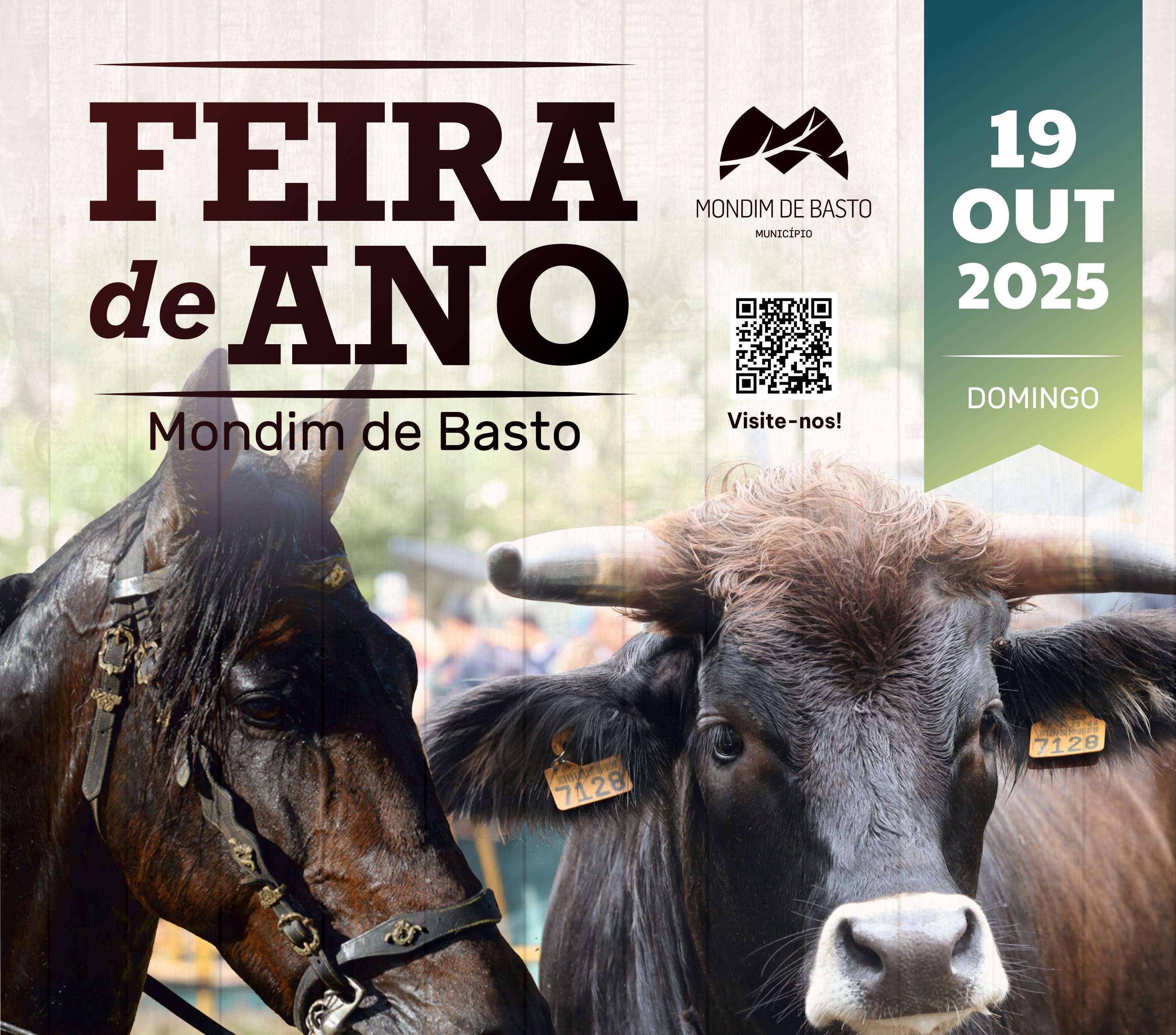 Feira de Ano 2025