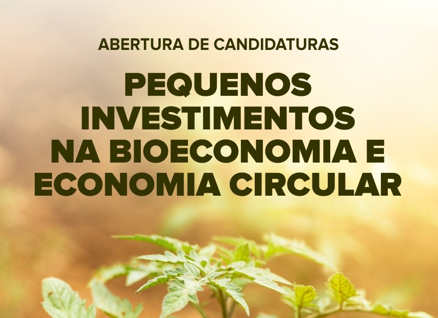 Imagem com planta a germinar