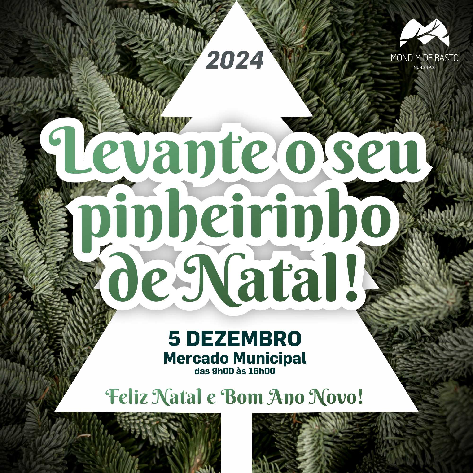 Levante o Seu Pinheirinho de Natal