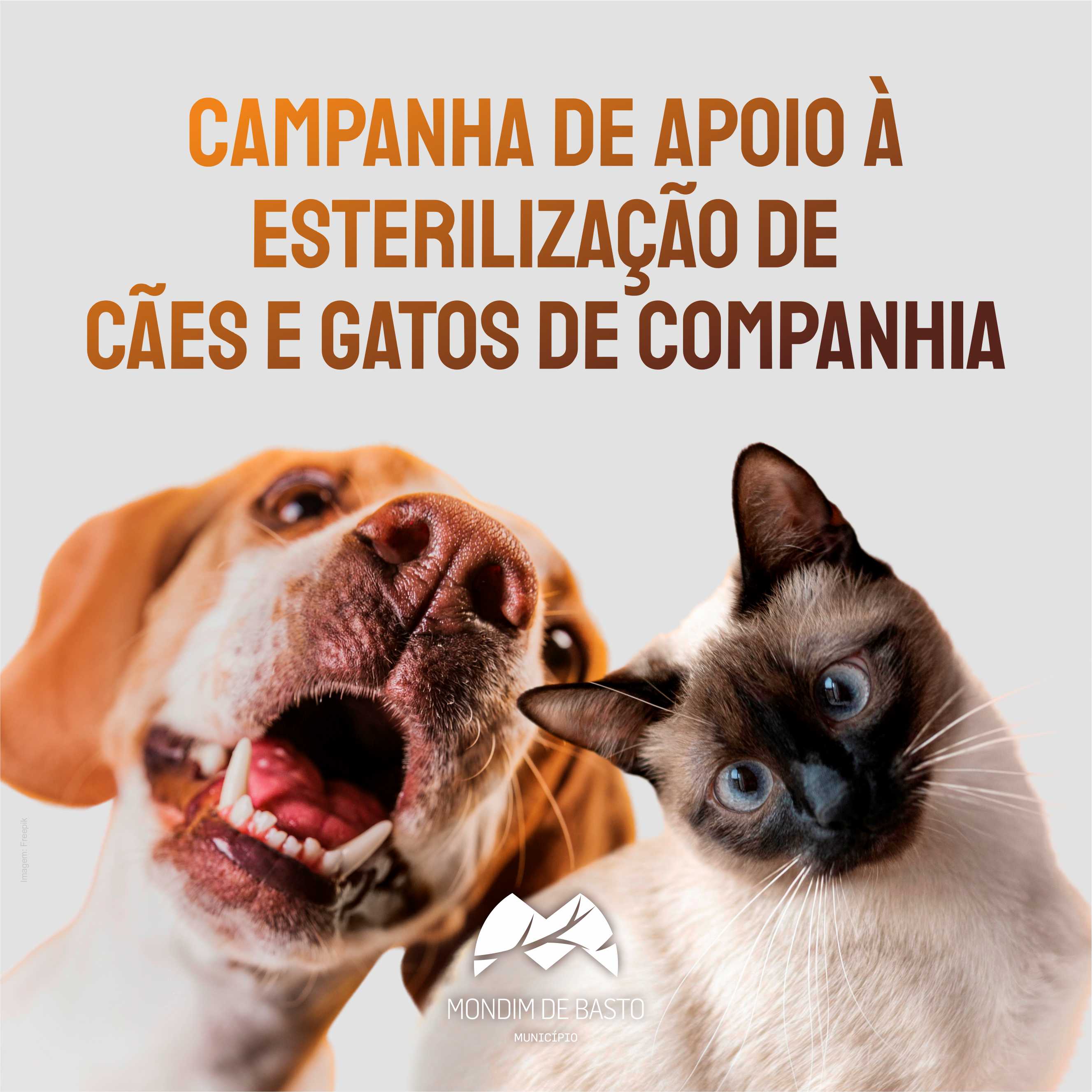 Campanha de Esterilização de Cães e Gatos de Companhia